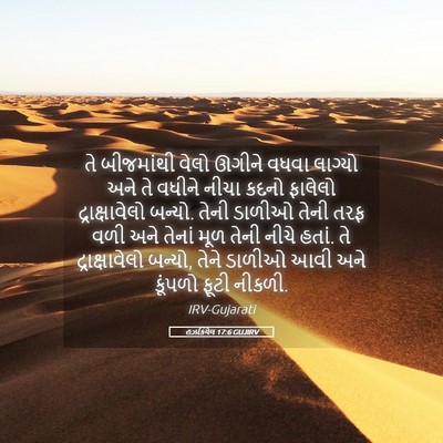 Picture 05 - હઝકિયેલ 17:6 GUJIRV - તે બીજમાંથી વેલો - Bible Verse Picture
