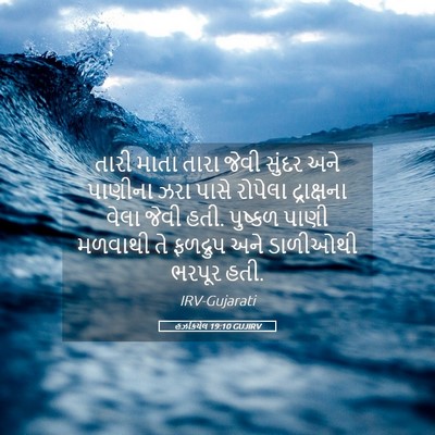 Picture 05 - હઝકિયેલ 19:10 GUJIRV - તારી માતા તારા - Bible Verse Picture