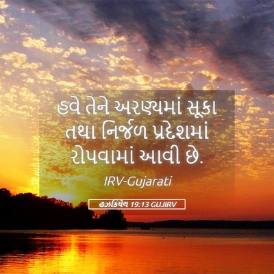 Picture 05 - હઝકિયેલ 19:13 GUJIRV - હવે તેને અરણ્યમાં - Bible Verse Picture