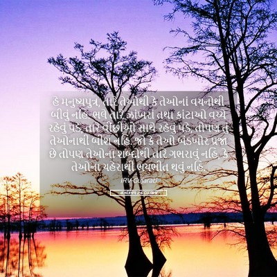 Picture 05 - હઝકિયેલ 2:6 GUJIRV - હે મનુષ્યપુત્ર, - Bible Verse Picture