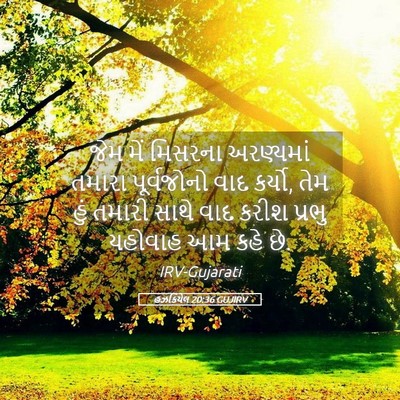 Picture 05 - હઝકિયેલ 20:36 GUJIRV - જેમ મેં મિસરના - Bible Verse Picture