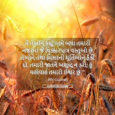 Picture 05 - હઝકિયેલ 20:7 GUJIRV - મેં તેઓને કહ્યું, - Bible Verse Picture