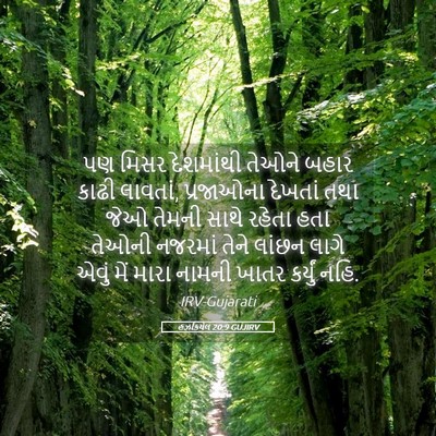 Picture 05 - હઝકિયેલ 20:9 GUJIRV - પણ મિસર દેશમાંથી - Bible Verse Picture