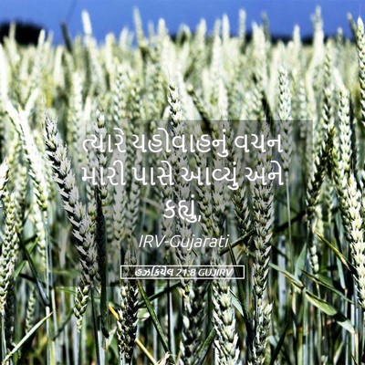 Picture 05 - હઝકિયેલ 21:8 GUJIRV - ત્યારે યહોવાહનું - Bible Verse Picture
