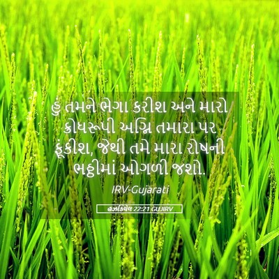 Picture 05 - હઝકિયેલ 22:21 GUJIRV - હું તમને ભેગા કરીશ - Bible Verse Picture