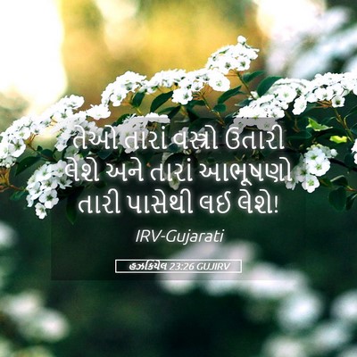 Picture 05 - હઝકિયેલ 23:26 GUJIRV - તેઓ તારાં વસ્ત્રો - Bible Verse Picture