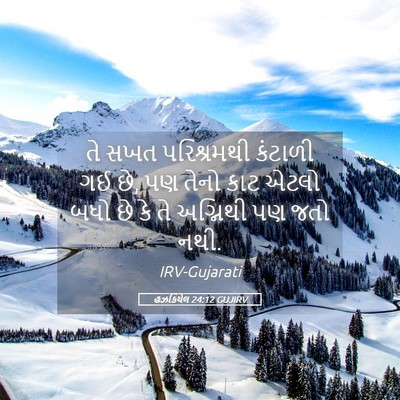 Picture 05 - હઝકિયેલ 24:12 GUJIRV - તે સખત પરિશ્રમથી - Bible Verse Picture