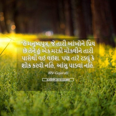 Picture 05 - હઝકિયેલ 24:16 GUJIRV - “હે મનુષ્યપુત્ર, - Bible Verse Picture