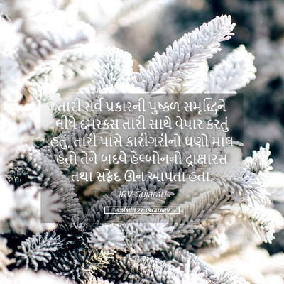 Picture 05 - હઝકિયેલ 27:18 GUJIRV - તારી સર્વ - Bible Verse Picture