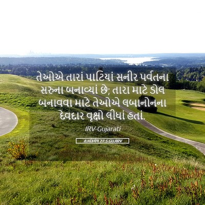 Picture 05 - હઝકિયેલ 27:5 GUJIRV - તેઓએ તારાં - Bible Verse Picture