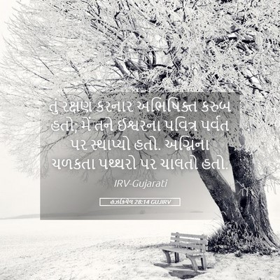 Picture 05 - હઝકિયેલ 28:14 GUJIRV - તું રક્ષણ કરનાર - Bible Verse Picture