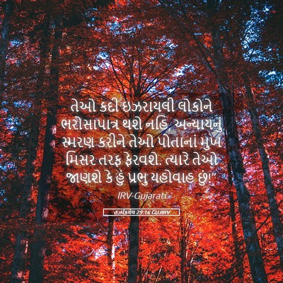 Picture 05 - હઝકિયેલ 29:16 GUJIRV - તેઓ કદી ઇઝરાયલી - Bible Verse Picture