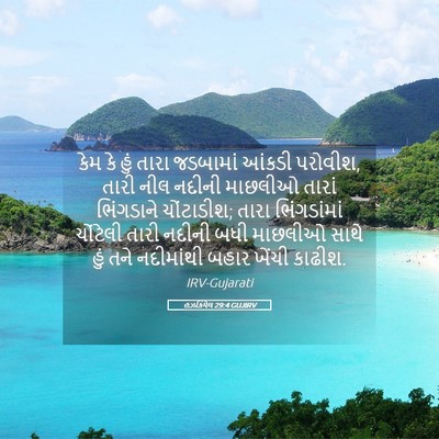 Picture 05 - હઝકિયેલ 29:4 GUJIRV - કેમ કે હું તારા - Bible Verse Picture