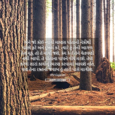 Picture 05 - હઝકિયેલ 3:20 GUJIRV - અને જો કોઈ ન્યાયી - Bible Verse Picture
