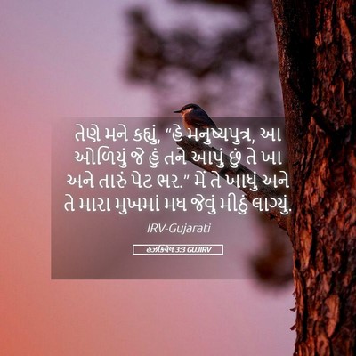 Picture 05 - હઝકિયેલ 3:3 GUJIRV - તેણે મને કહ્યું, - Bible Verse Picture