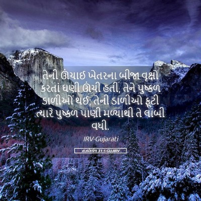 Picture 05 - હઝકિયેલ 31:5 GUJIRV - તેની ઊંચાઈ ખેતરના - Bible Verse Picture