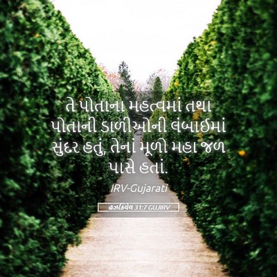Picture 05 - હઝકિયેલ 31:7 GUJIRV - તે પોતાના - Bible Verse Picture