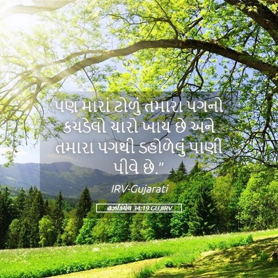 Picture 05 - હઝકિયેલ 34:19 GUJIRV - પણ મારાં ટોળું - Bible Verse Picture