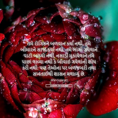 Picture 05 - હઝકિયેલ 34:4 GUJIRV - તમે રોગિષ્ઠને - Bible Verse Picture