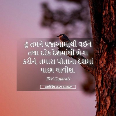 Picture 05 - હઝકિયેલ 36:24 GUJIRV - હું તમને - Bible Verse Picture