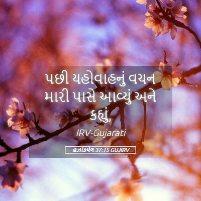 Picture 05 - હઝકિયેલ 37:15 GUJIRV - પછી યહોવાહનું વચન - Bible Verse Picture