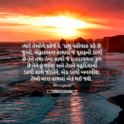 Picture 05 - હઝકિયેલ 37:19 GUJIRV - ત્યારે તેઓને - Bible Verse Picture