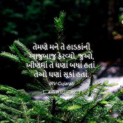 Picture 05 - હઝકિયેલ 37:2 GUJIRV - તેમણે મને તે - Bible Verse Picture