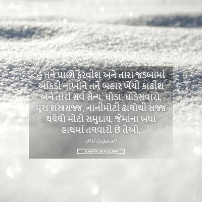 Picture 05 - હઝકિયેલ 38:4 GUJIRV - હું તને પાછો - Bible Verse Picture
