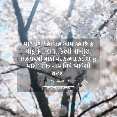 Picture 05 - હઝકિયેલ 39:25 GUJIRV - માટે પ્રભુ યહોવાહ - Bible Verse Picture
