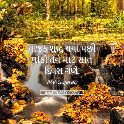 Picture 05 - હઝકિયેલ 44:26 GUJIRV - યાજક શુદ્ધ થયા પછી - Bible Verse Picture