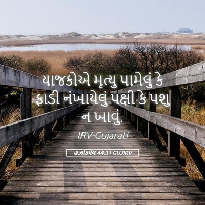 Picture 05 - હઝકિયેલ 44:31 GUJIRV - યાજકોએ મૃત્યુ - Bible Verse Picture