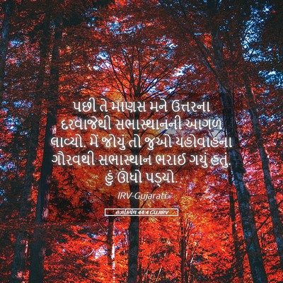 Picture 05 - હઝકિયેલ 44:4 GUJIRV - પછી તે માણસ મને - Bible Verse Picture