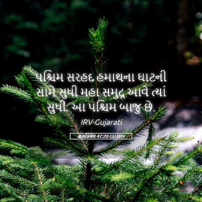 Picture 05 - હઝકિયેલ 47:20 GUJIRV - પશ્ચિમ સરહદ - Bible Verse Picture