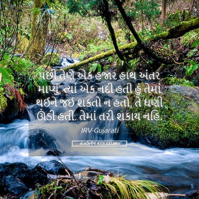 Picture 05 - હઝકિયેલ 47:5 GUJIRV - પછી તેણે એક હજાર - Bible Verse Picture
