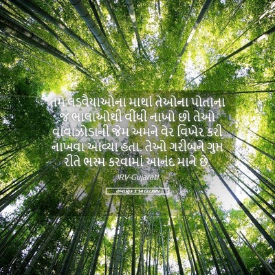 Picture 05 - હબાક્કુક 3:14 GUJIRV - તમે લડવૈયાઓના - Bible Verse Picture