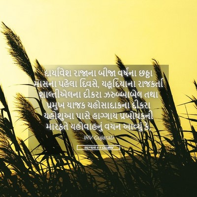 Picture 05 - હાગ્ગાય 1:1 GUJIRV - દાર્યાવેશ રાજાના - Bible Verse Picture