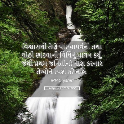Picture 05 - હિબ્રૂઓને 11:28 GUJIRV - વિશ્વાસથી તેણે - Bible Verse Picture