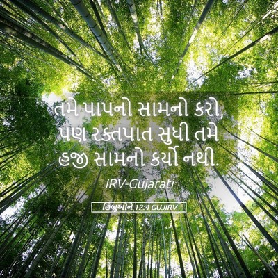 Picture 05 - હિબ્રૂઓને 12:4 GUJIRV - તમે પાપનો સામનો - Bible Verse Picture