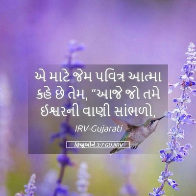 Picture 05 - હિબ્રૂઓને 3:7 GUJIRV - એ માટે જેમ પવિત્ર - Bible Verse Picture