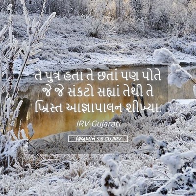 Picture 05 - હિબ્રૂઓને 5:8 GUJIRV - તે પુત્ર હતા તે - Bible Verse Picture