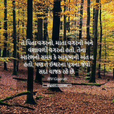 Picture 05 - હિબ્રૂઓને 7:3 GUJIRV - તે પિતા વગરનો, માતા - Bible Verse Picture