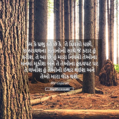 Picture 05 - હિબ્રૂઓને 8:10 GUJIRV - કેમ કે પ્રભુ કહે છે - Bible Verse Picture