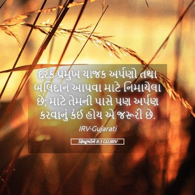 Picture 05 - હિબ્રૂઓને 8:3 GUJIRV - દરેક પ્રમુખ યાજક - Bible Verse Picture