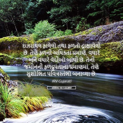 Picture 05 - હોશિયા 10:1 GUJIRV - ઇઝરાયલ ફાલેલો તથા - Bible Verse Picture