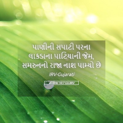 Picture 05 - હોશિયા 10:7 GUJIRV - પાણીની સપાટી પરના - Bible Verse Picture
