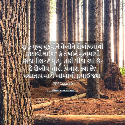 Picture 05 - હોશિયા 13:14 GUJIRV - શું હું મૂલ્ય - Bible Verse Picture