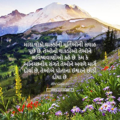Picture 05 - હોશિયા 4:12 GUJIRV - મારા લોકો - Bible Verse Picture