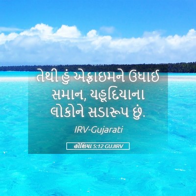 Picture 05 - હોશિયા 5:12 GUJIRV - તેથી હું - Bible Verse Picture
