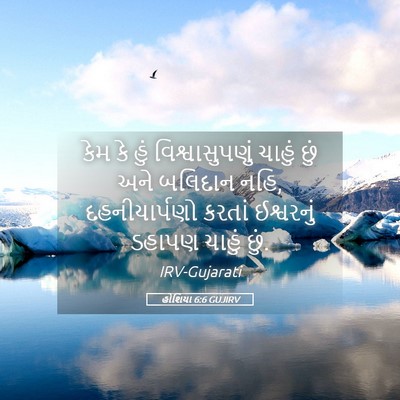 Picture 05 - હોશિયા 6:6 GUJIRV - કેમ કે હું - Bible Verse Picture