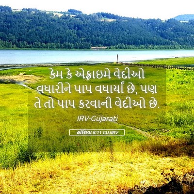 Picture 05 - હોશિયા 8:11 GUJIRV - કેમ કે એફ્રાઇમે - Bible Verse Picture